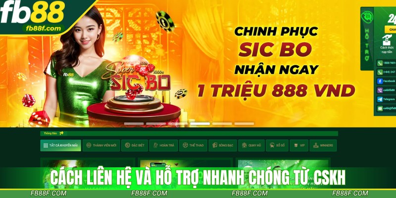 Cách liên hệ và khả năng phản hồi nhanh chóng