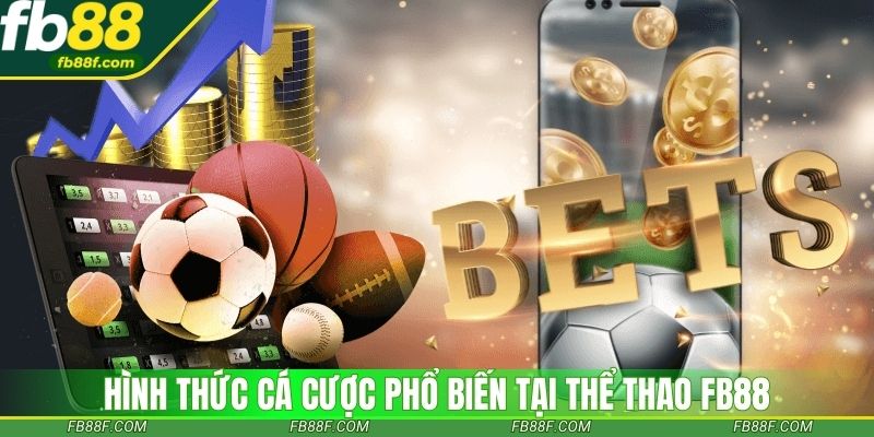 Hình thức cá cược phổ biến tại thể thao fb88 Hình thức cá cược phổ biến tại thể thao fb88