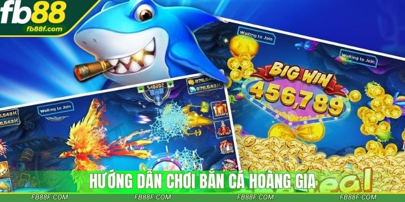 Hướng dẫn chơi bắn cá hoàng gia