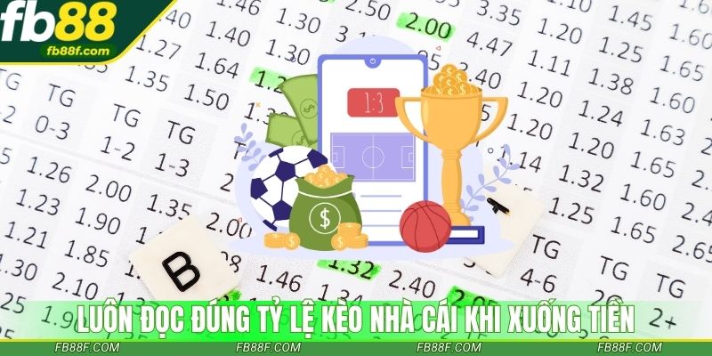 Luôn đọc đúng tỷ lệ kèo nhà cái khi xuống tiền