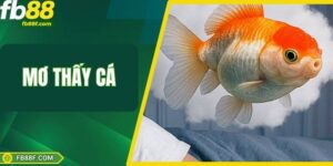 Mơ Thấy Cá – Báo Hiệu Con Số Vận May Bất Ngờ Đến Gần