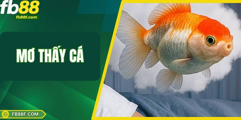 Mơ Thấy Cá – Báo Hiệu Con Số Vận May Bất Ngờ Đến Gần