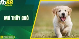 Mơ Thấy Chó – Mỗi Giấc Mộng Đều Là Một Cơ Hội Làm Giàu