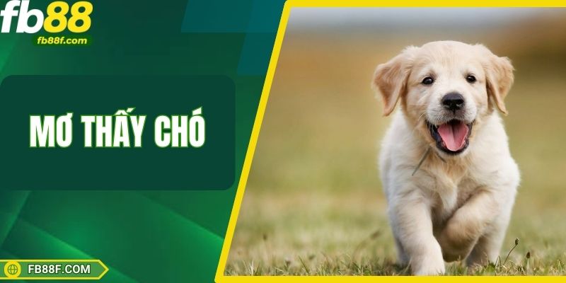 Mơ Thấy Chó – Mỗi Giấc Mộng Đều Là Một Cơ Hội Làm Giàu
