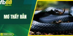 Mơ Thấy Rắn – Khám Phá Những Giấc Mộng Mang Tài Lộc