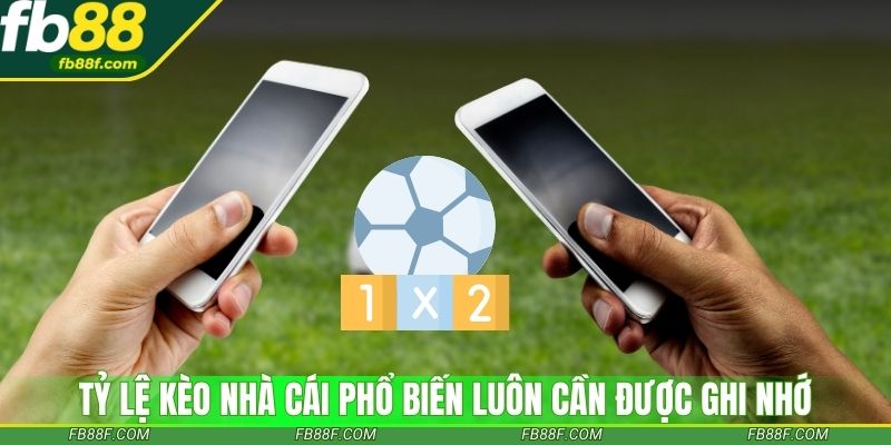 Tỷ lệ kèo nhà cái phổ biến luôn cần được ghi nhớ